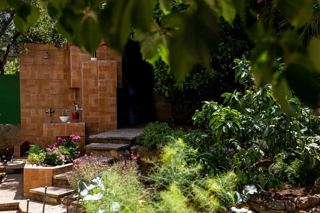 Garden Vista Apartment دوبروفينك المظهر الخارجي الصورة
